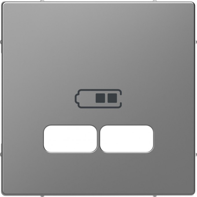 Центральная накладка SCHNEIDER ELECTRIC MERTEN D-LIFE для USB механизма 2,1А, НЕР.СТАЛЬ MTN4367-6036